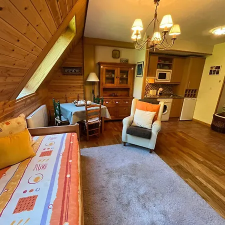 Azafran De Atares Apartment Canfranc